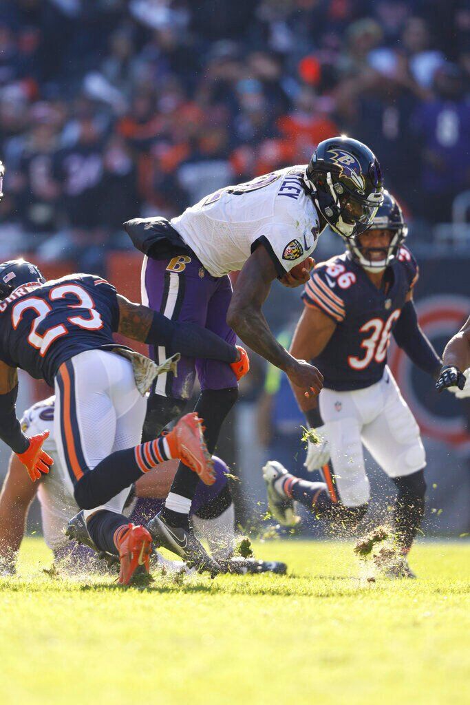 Ravens Bears Football